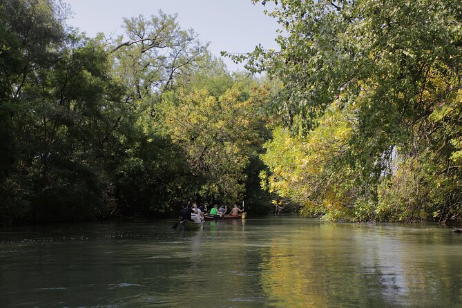 4-hours tour Rafting from Hainburg to Bratislava - Why the Guide Matters When the Current Gets Strong