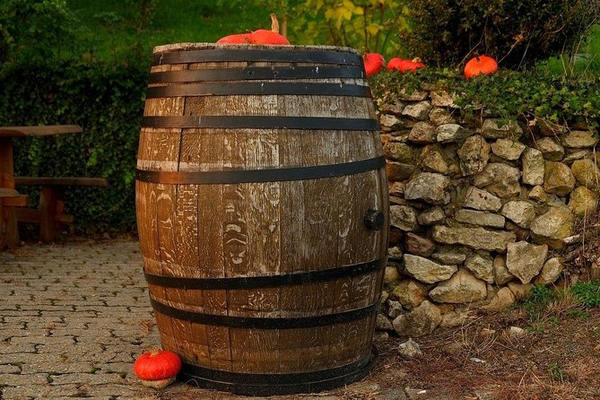 Bratislava 3-Hour Wine Tasting - Small group size: the difference between tasting and listening