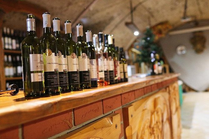 Bratislava 3-Hour Wine Tasting - The Small Carpathian angle, and why it matters