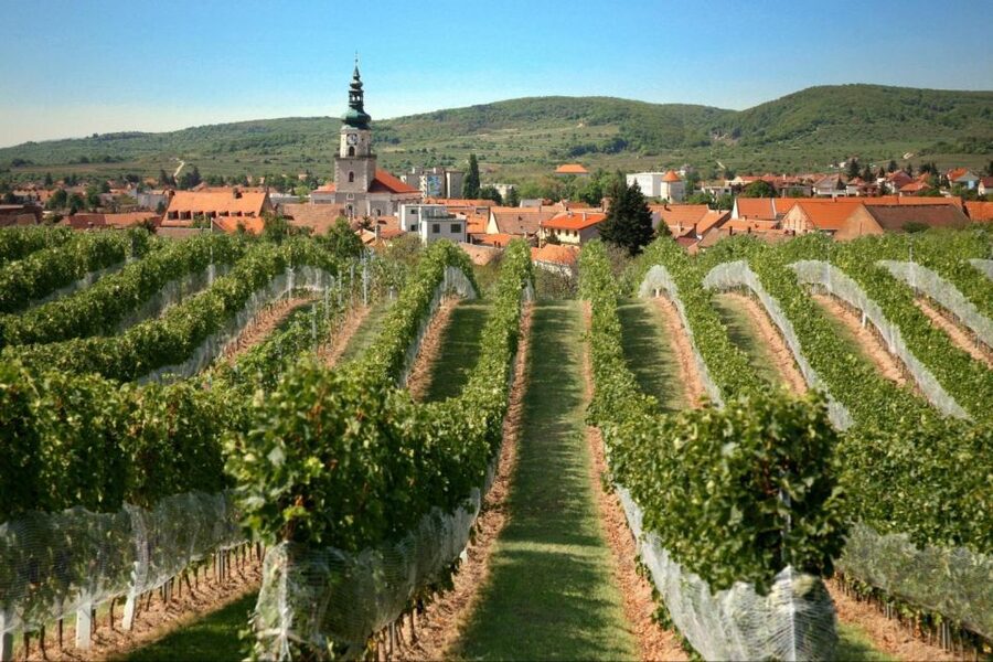 Bratislava: 6,5-Hour Carpathian Wine Tour and Tasting - Carpathian Wine Tour From Bratislava: What Makes This Day Work