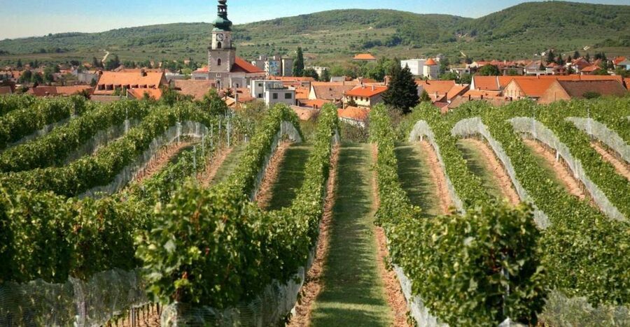 Bratislava: 6,5-Hour Carpathian Wine Tour and Tasting - Red Stone Castle: The Romantic Anchor of the Tour