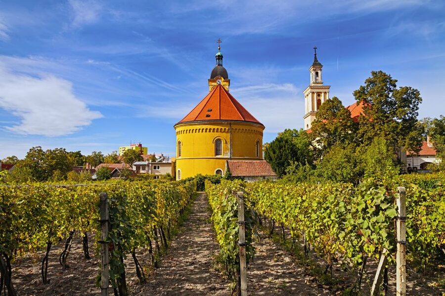 Bratislava: 6,5-Hour Carpathian Wine Tour and Tasting - Price and Value: Is $268 Fair for This 6 to 6.5 Hour Circuit?