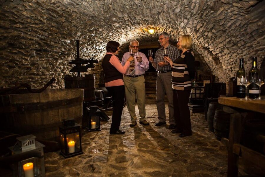 Bratislava: 6,5-Hour Carpathian Wine Tour and Tasting - Timing and Logistics That Affect Your Comfort