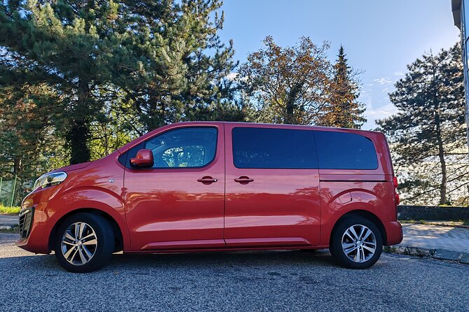 Bratislava Airport Transfer with Private Driver to City - Door-to-door drop-off: your first win at the end