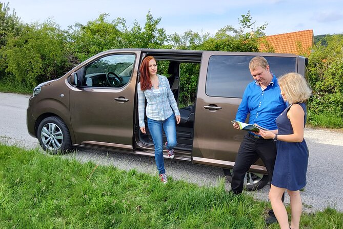 Bratislava City and Castle Private Tour with Minivan - Price and value: why $313.07 can make sense for a private 3-hour tour