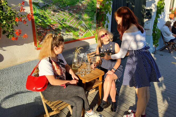 Bratislava City Wine Tasting Tour - Price and value for a 3-hour private tasting