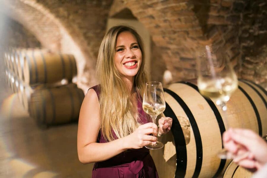 Bratislava: Devin Castle and Wine Tasting Private Tour - The wine tasting stop: a guided sip of Bratislava-produced wines