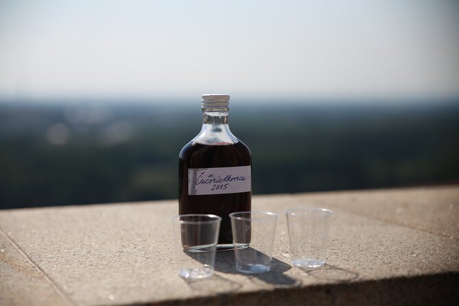 Bratislava Foodie Tour - The City Stories You Get While You Walk