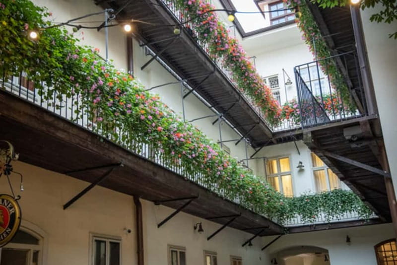 Bratislava: Tasting Experience at House of Beer - Price and value: what $15 buys you, and what to check