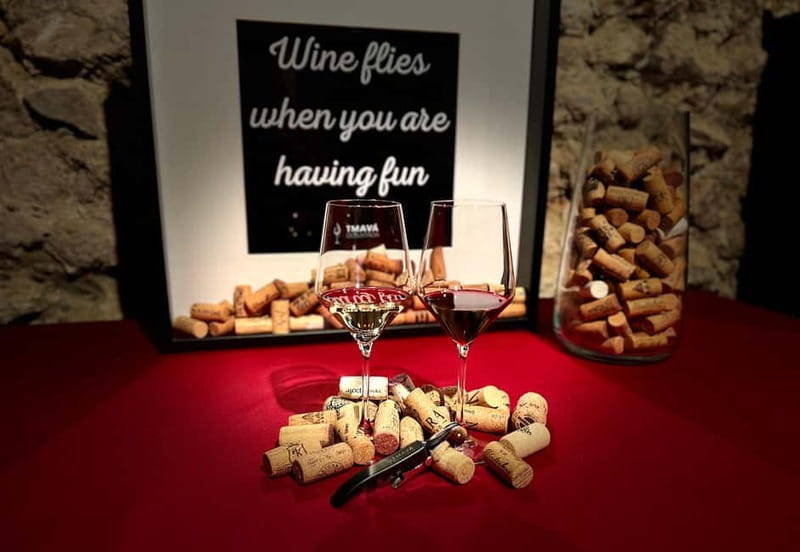 Bratislava: Wine Tasting Experience in the Dark - The Setup: Audioguide Introduction, Then the Lights Go Out