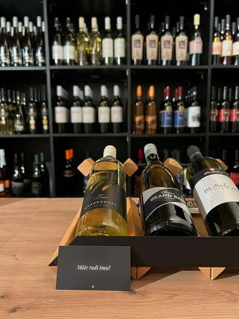 Bratislava: Wine Tasting Experience in the Dark - Where You Go in Bratislava, Michalská 3 and the Tmavá Degustácia Cellar