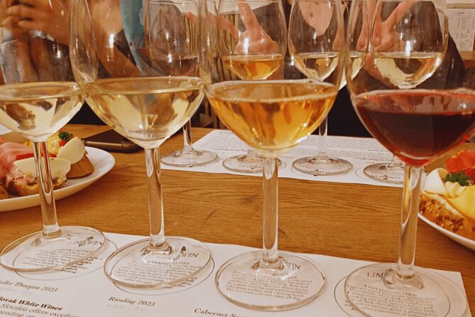 Bratislava Wine Tasting in City Center - Languages and who’s running the room