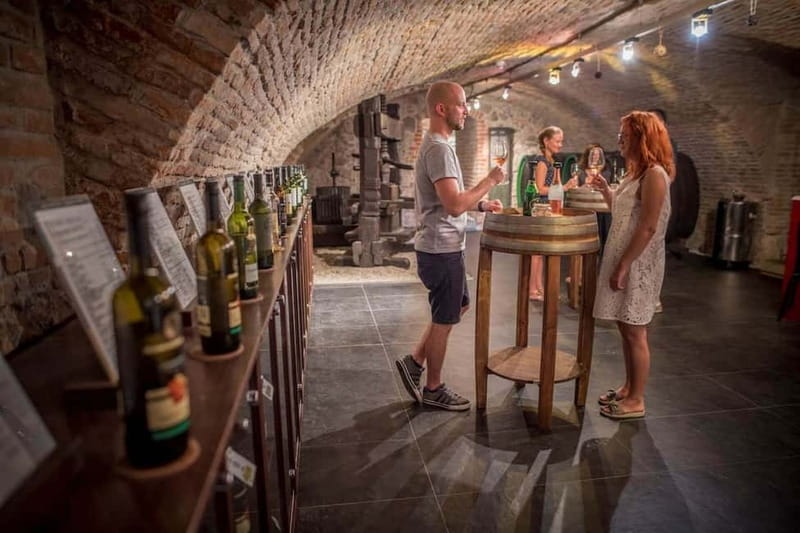 Bratislava: Wine Tasting with Sommelier - The Apponny Palace Cellar Setting That Turns a Tasting into an Event