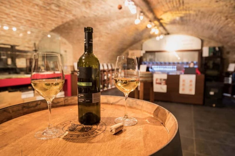 Bratislava: Wine Tasting with Sommelier - What the Sommelier Actually Teaches You During the Pour
