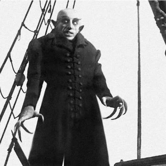 From Bratislava: Dracula Nosferatu - Orava Castle Day Tour - Guide energy: why the day feels like a story
