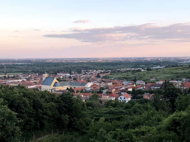 From Bratislava: Organic Wine Tasting in Svaty Jur - Key highlights you will feel immediately