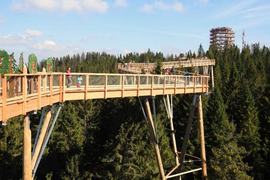 From Krakow: Treetop Walk & Zakopane Visit Small Group Tour - Should You Book This Tour, or Choose a Different Plan?