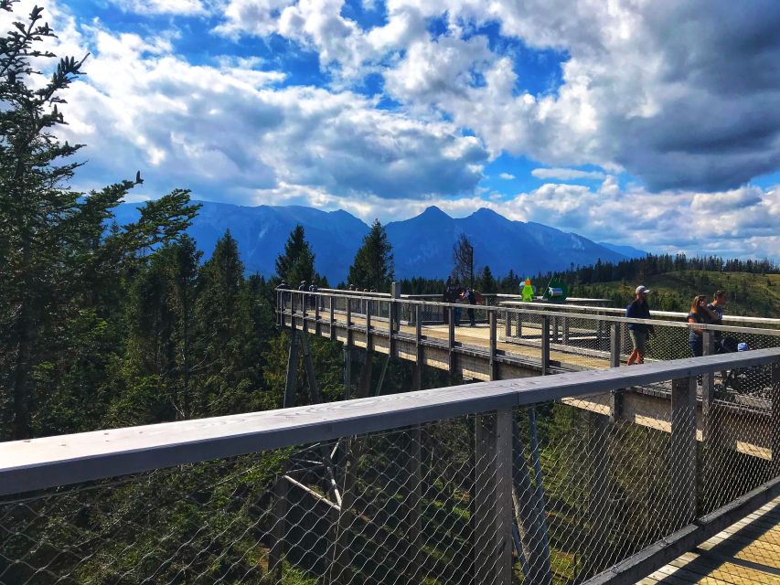 From Krakow: Treetop Walk & Zakopane Visit Small Group Tour - Zakopane Arrival and Krupowki, the Most Useful Town Time