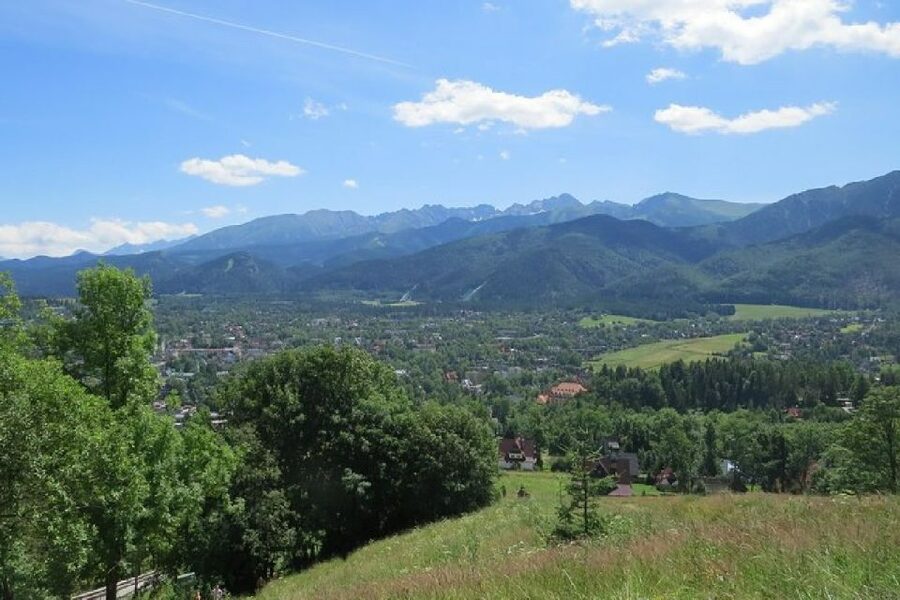 From Krakow: Treetop Walk & Zakopane Visit Small Group Tour - Price and Logistics, Is $215 Fair for What You Get
