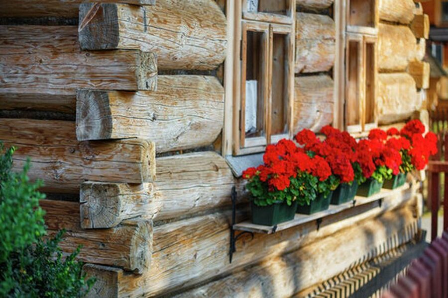 From Krakow: Treetop Walk & Zakopane Visit Small Group Tour - What to Bring, How to Dress, and Who Might Be Unhappy