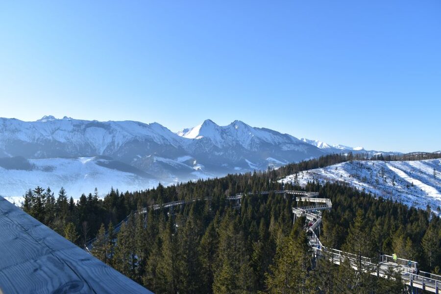 From Krakow: Treetop Walk & Zakopane Visit Small Group Tour - Small-Group Feel, Driver Communication, and the Pace You’ll Live With