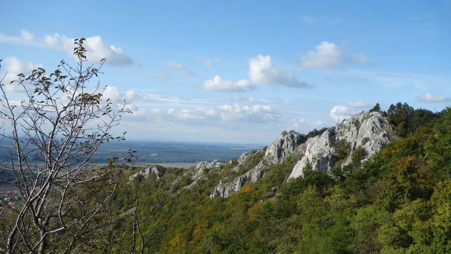 From Vienna: Bratislava & Countryside Guided Half Day Tour - Why This Bratislava and Castle Day Trip Feels Like More Than a Sightseeing Ride