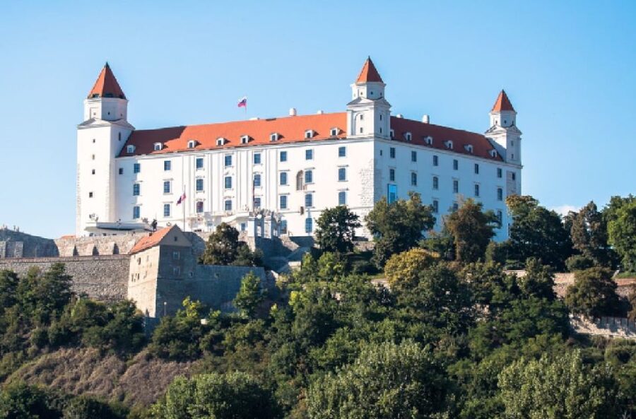 From Vienna: Private Day Tour of Devin Castle & Bratislava - Who This Private Day Trip Fits Best