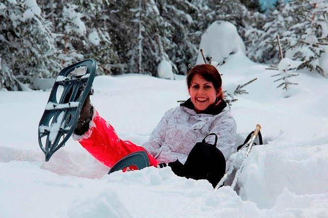 Full-Day Snowshoeing in High Tatras with Local Mountain Guide from Poprad - High Tatras Snowshoeing From Poprad, What You’re Actually Buying
