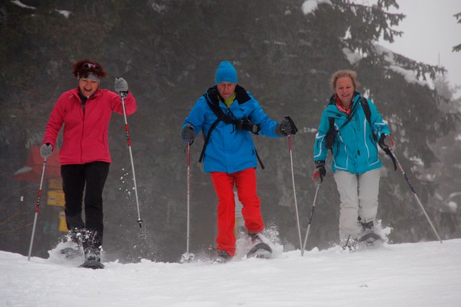 Full-Day Snowshoeing in High Tatras with Local Mountain Guide from Poprad - Gear and Clothing: Your Real “Do Not Forget” List