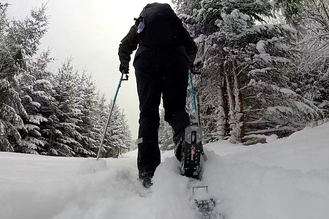Full-Day Snowshoeing in High Tatras with Local Mountain Guide from Poprad - Who This Trip Fits Best (and Who Might Want a Different Option)