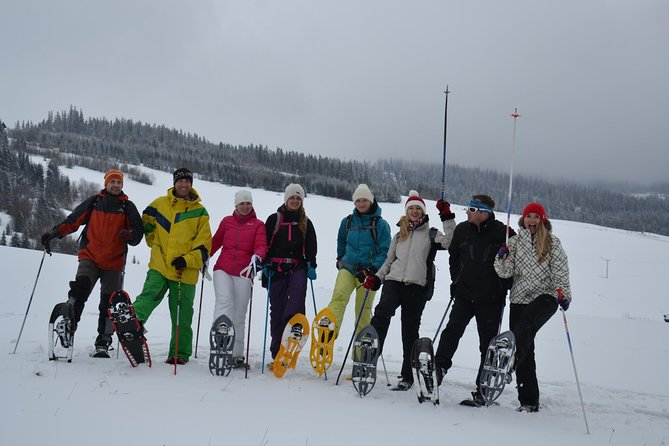 Full-Day Snowshoeing in High Tatras with Local Mountain Guide from Poprad - Small Details That Matter: Private Group, English, and Service Animals
