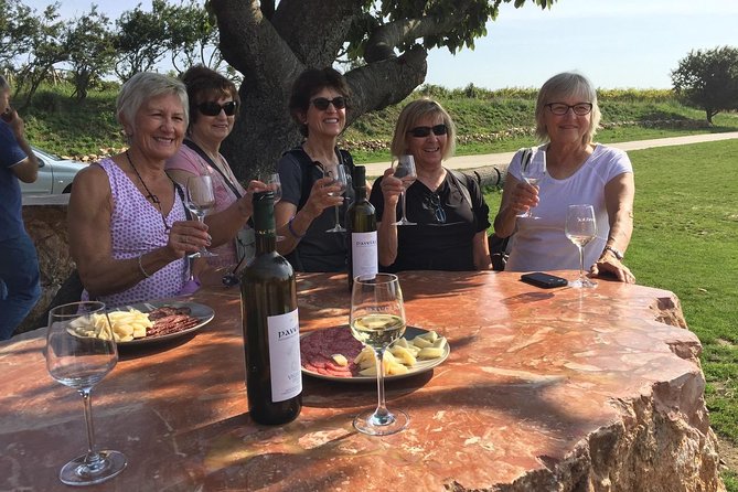 Great Wine Tour in Small Carpathian Hills - The value math, and why the price makes sense for the day you get