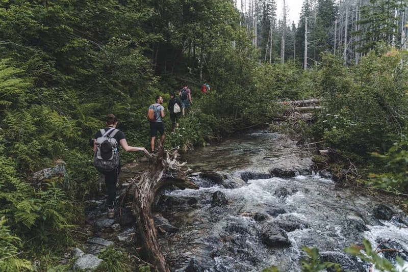 High Tatras: Bearwatching Hiking Tour in Slovakia - The Hike Plan, Without the Bait-and-Switch Feeling