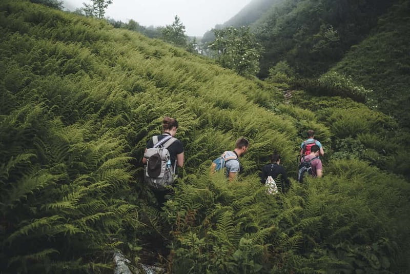 High Tatras: Bearwatching Hiking Tour in Slovakia - Price and Value: Is $282 Reasonable for Bearwatching?