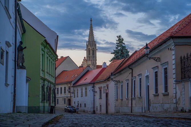 Highlights of Bratislava's Old Town with Castle - St. Martin’s Cathedral, coronations, and the weeping willow moment