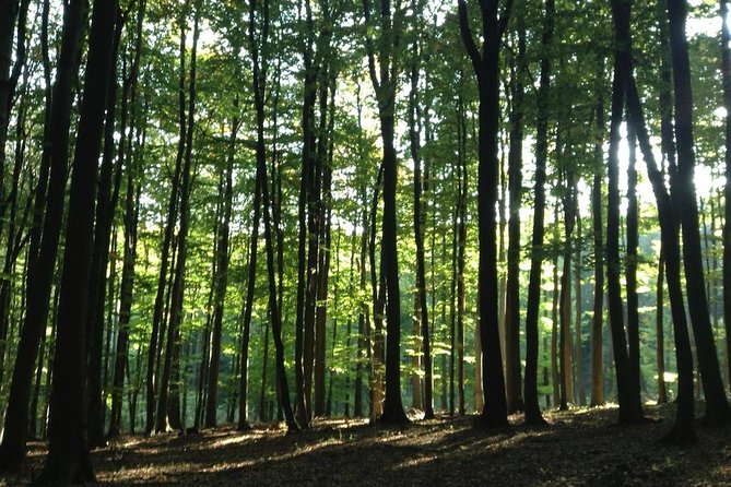 Hiking Tour in the Small Carpathians - In the track of forest people - Should You Book This Small Carpathians Forest People Hike?