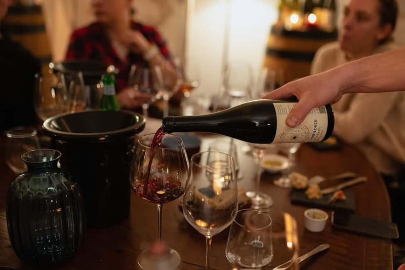 Know Your Wines in Bratislava - Wine fundamentals: learn the vineyard-to-bottle logic