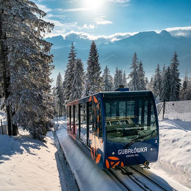 Krakow: Slovakia Treetop Walk & Zakopane Tour (Hotel Pickup) - The guide experience: Patrick, Dawid, Maciek, and the human touch