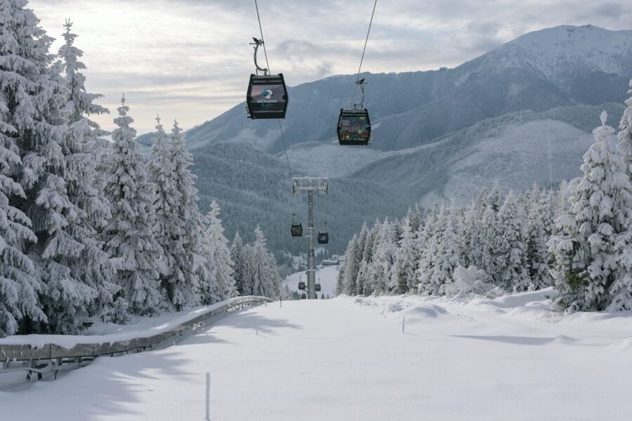 Krakow: Slovakia Treetop Walk & Zakopane Tour (Hotel Pickup) - Price and value for a $390 per-person day