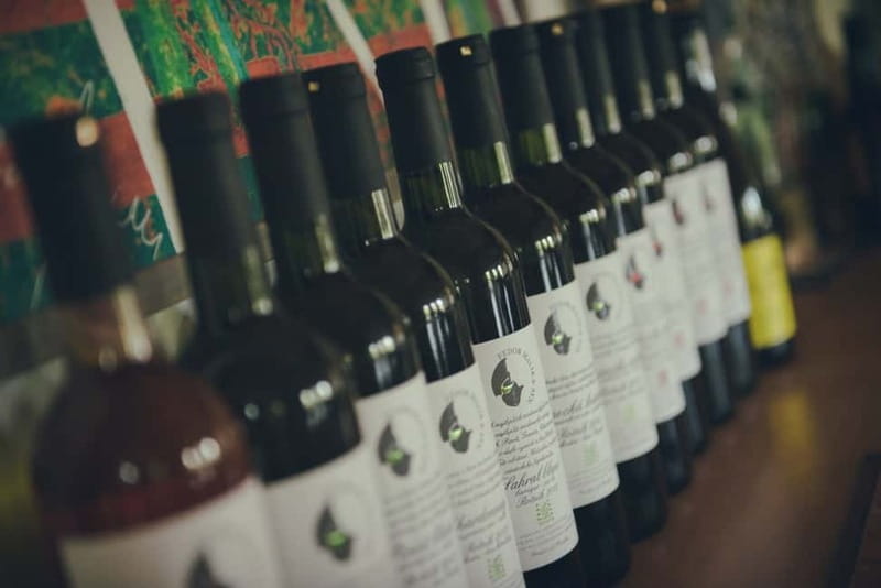 Modra: Private Wine Tasting at a Family-Operated Winery - Modra, not Bratislava, is the real point