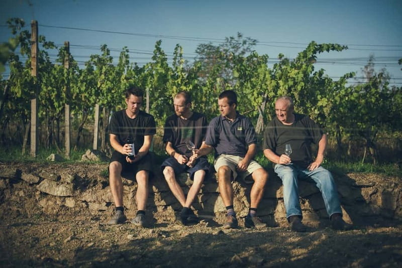 Modra: Private Wine Tasting at a Family-Operated Winery - Whites and delicate reds, explained in human terms