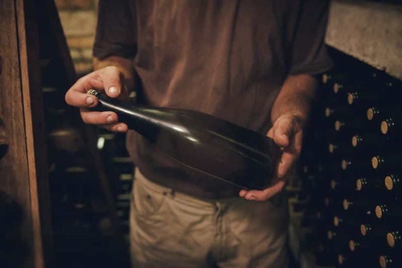 Modra: Private Wine Tasting at a Family-Operated Winery - Price and value: $53 for a real afternoon, not a quick pour
