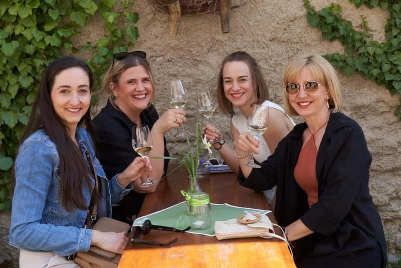 Modra: Private wine tasting guided by winery owner - Key highlights I’d circle before you book