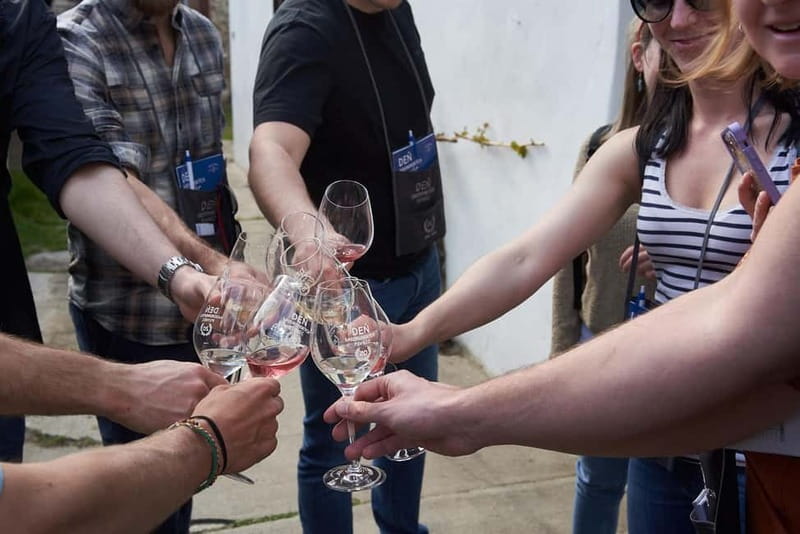 Modra: Private wine tasting guided by winery owner - Modra and Víno Fiala, a private tasting that feels like a visit