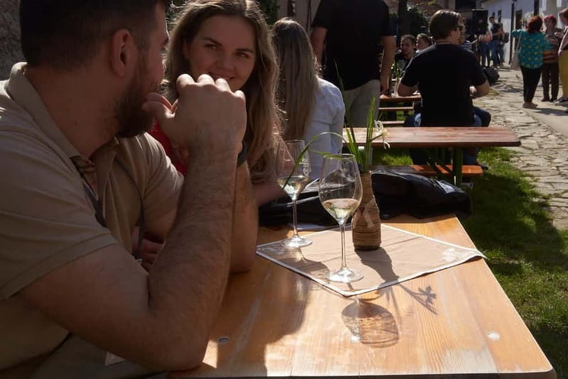 Modra: Private wine tasting guided by winery owner - The tasting format: up to 10 wines in 2 hours