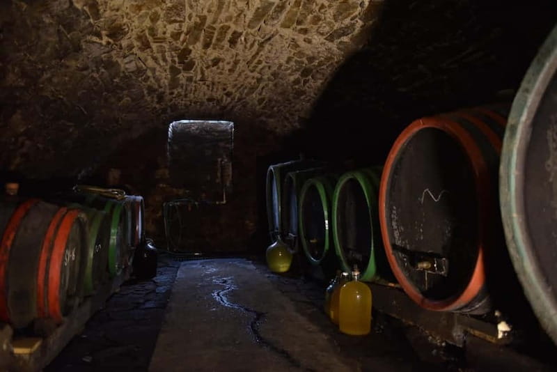 Modra: Private wine tasting guided by winery owner - Inside the 17th century cellar, garden, and winemaker house