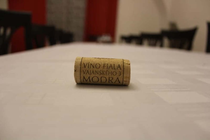 Modra: Private wine tasting guided by winery owner - How to plan your timing from Bratislava