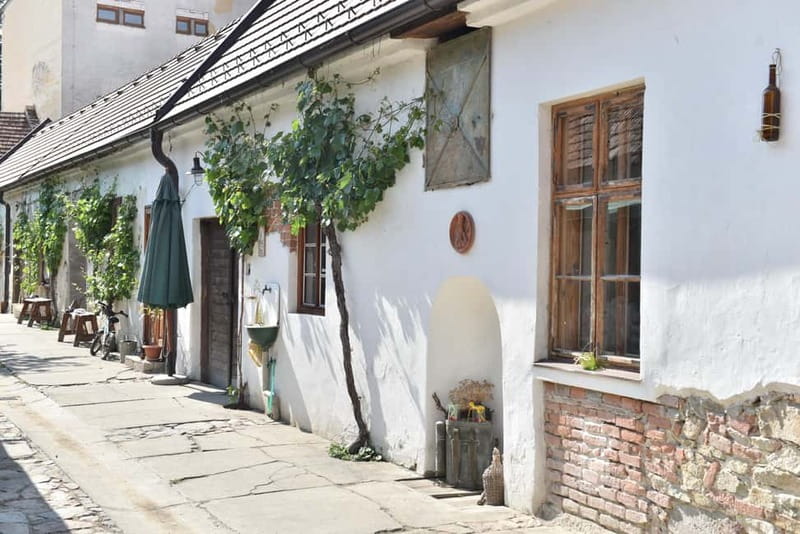 Modra: Private wine tasting guided by winery owner - Price and value at about $53 per person