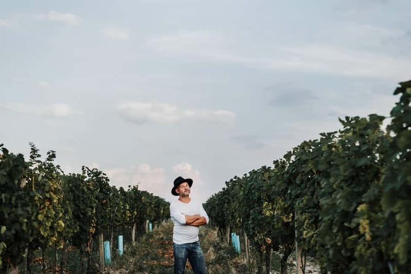 Modra: Private wine tasting guided by winery owner - Who this tasting is best for