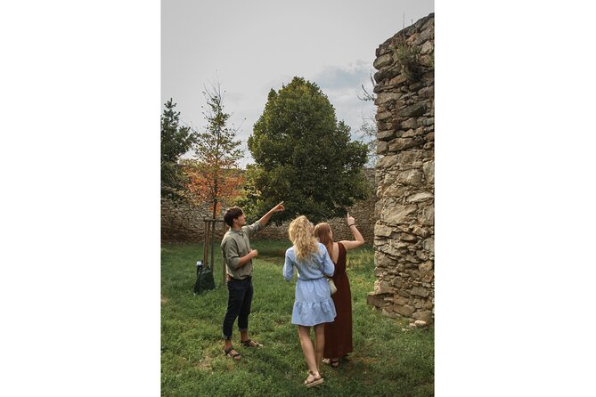 Taste Local Wines and Discover Pezinok - Pezinok Wine Culture, Without the Big-Tour Shuffle